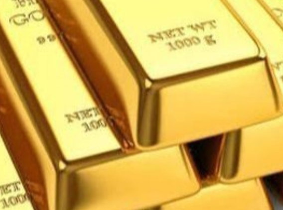 Gold Plan 