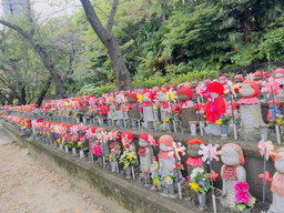 Tokyo private one day tour