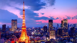 Tokyo private one day tour
