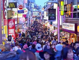 Tokyo private one day tour