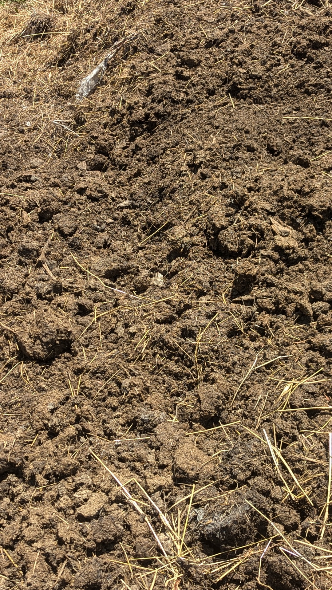 Cow manure fertilizer