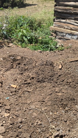 Goats and sheep manure