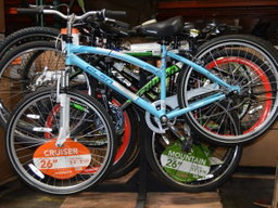 Kids and Adult Bicycle Load