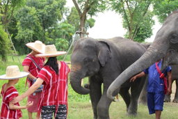 Elephant Sanctuary