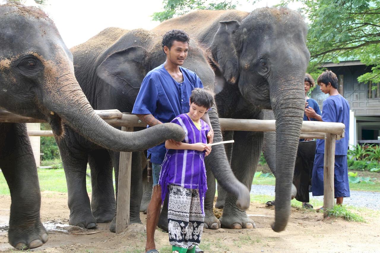 Half-day Bangkok Elephant Park 🐘 [adult]_1