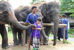 Half-day Bangkok Elephant Park 🐘 [adult]