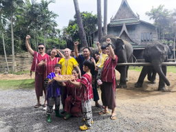 Half-day Bangkok Elephant Park 🐘 [adult]