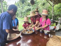 Half-day Bangkok Elephant Park 🐘 [adult]