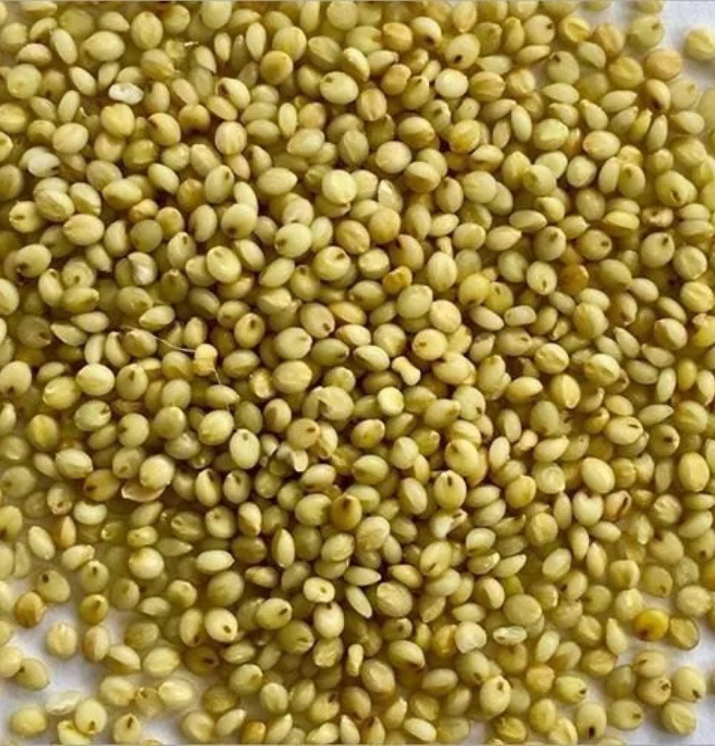 Aandu Korralu (Brown Top Millets) 1 kg