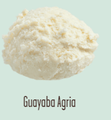 Helado artesanal Guayaba Agria 1/2 Litro