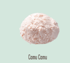 Helado artesanal Camu Camu 1/2 Litro_0