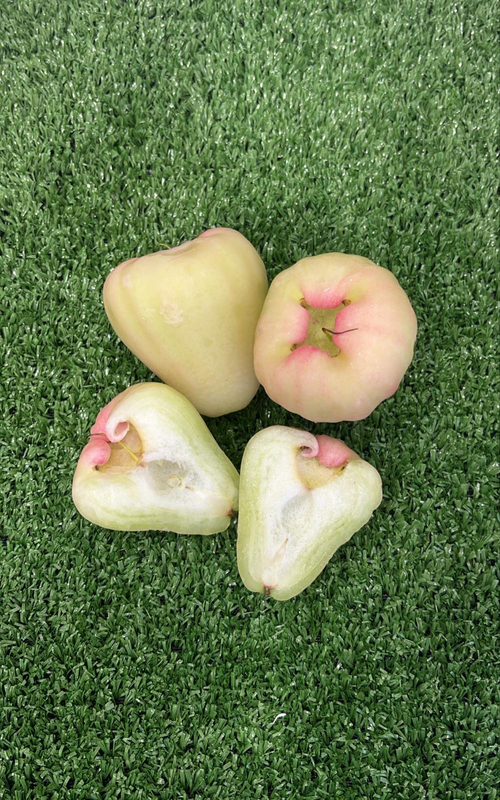 Indonesia honey Jade Jambu