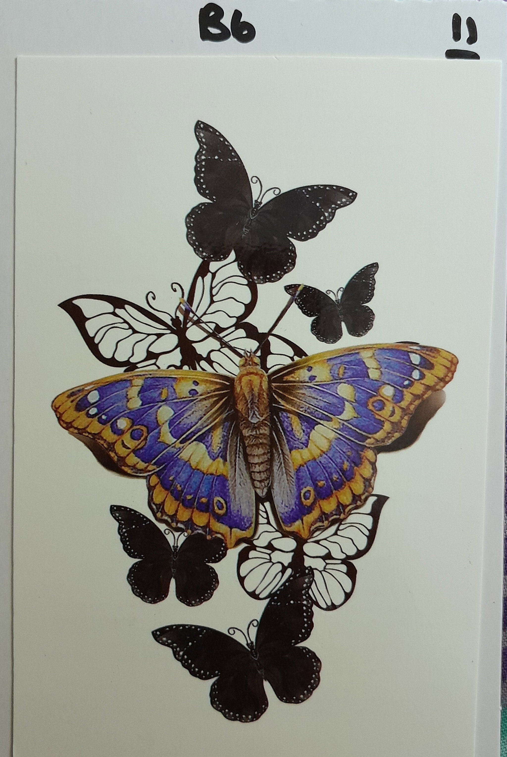 B6 - Purple Moth_0