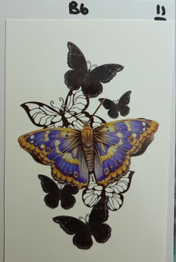 B6 - Purple Moth