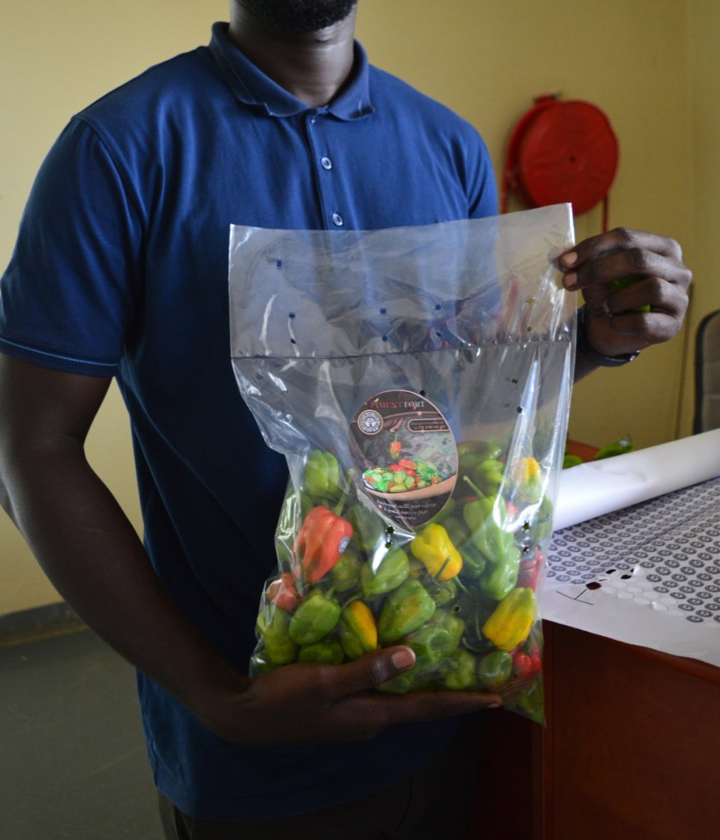 Piment frais_0