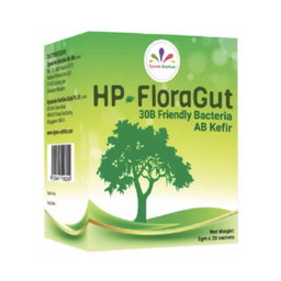 DF HP - Flora Gut AB Kefir pre & probiotics 益菌  2 gm x 20 sac