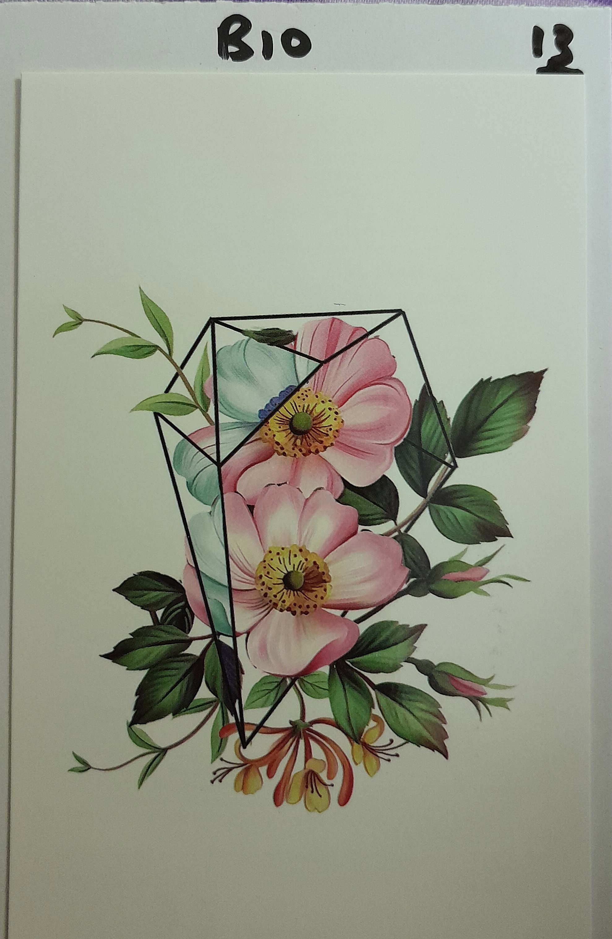 B10 - 2 Pink Flowers_0