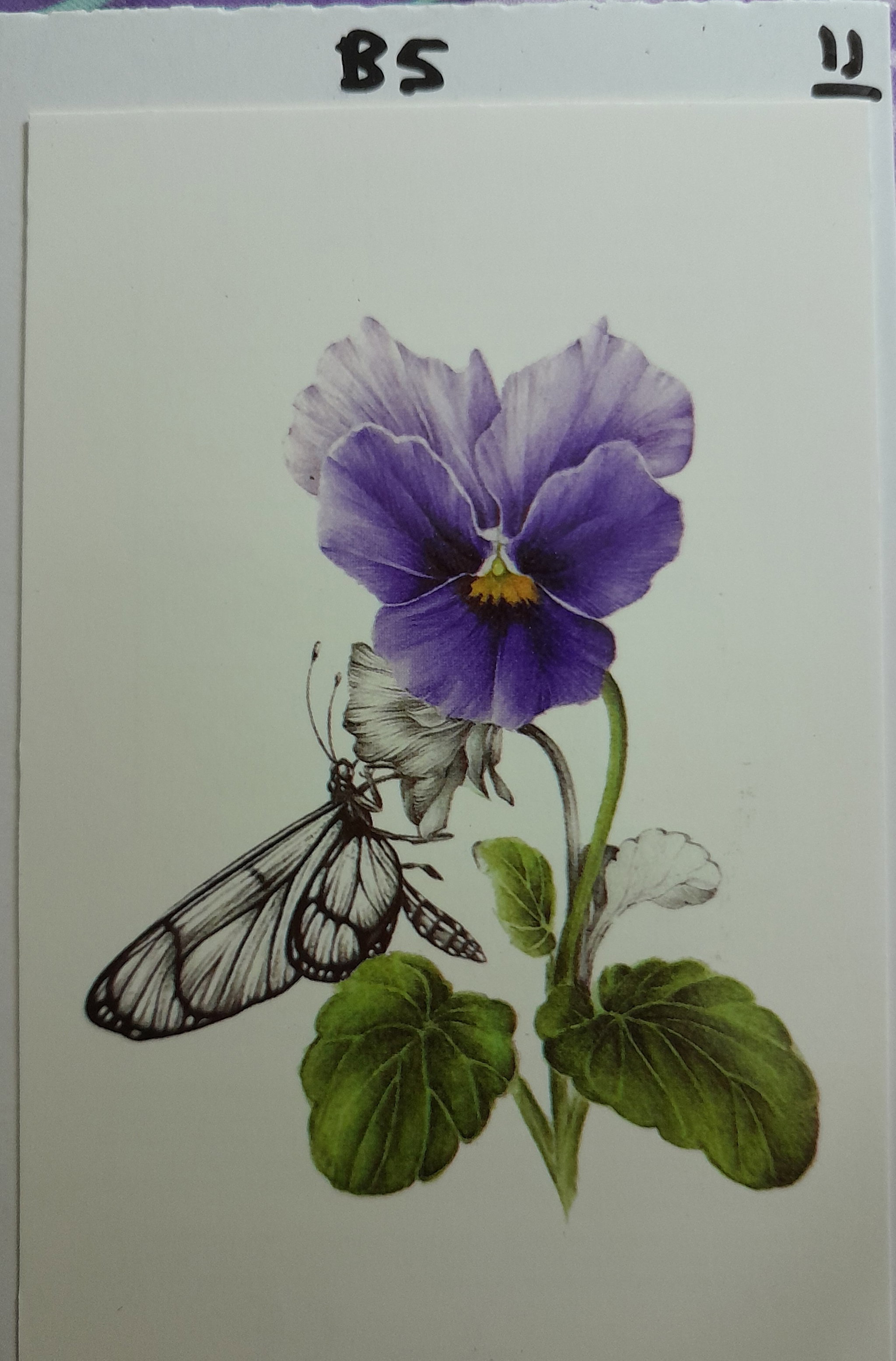 B5 - Purple Flower_0