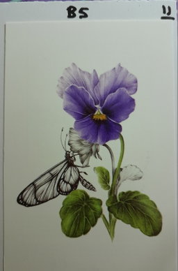 B5 - Purple Flower