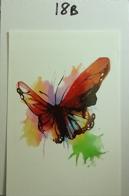 B18 - Water Colours