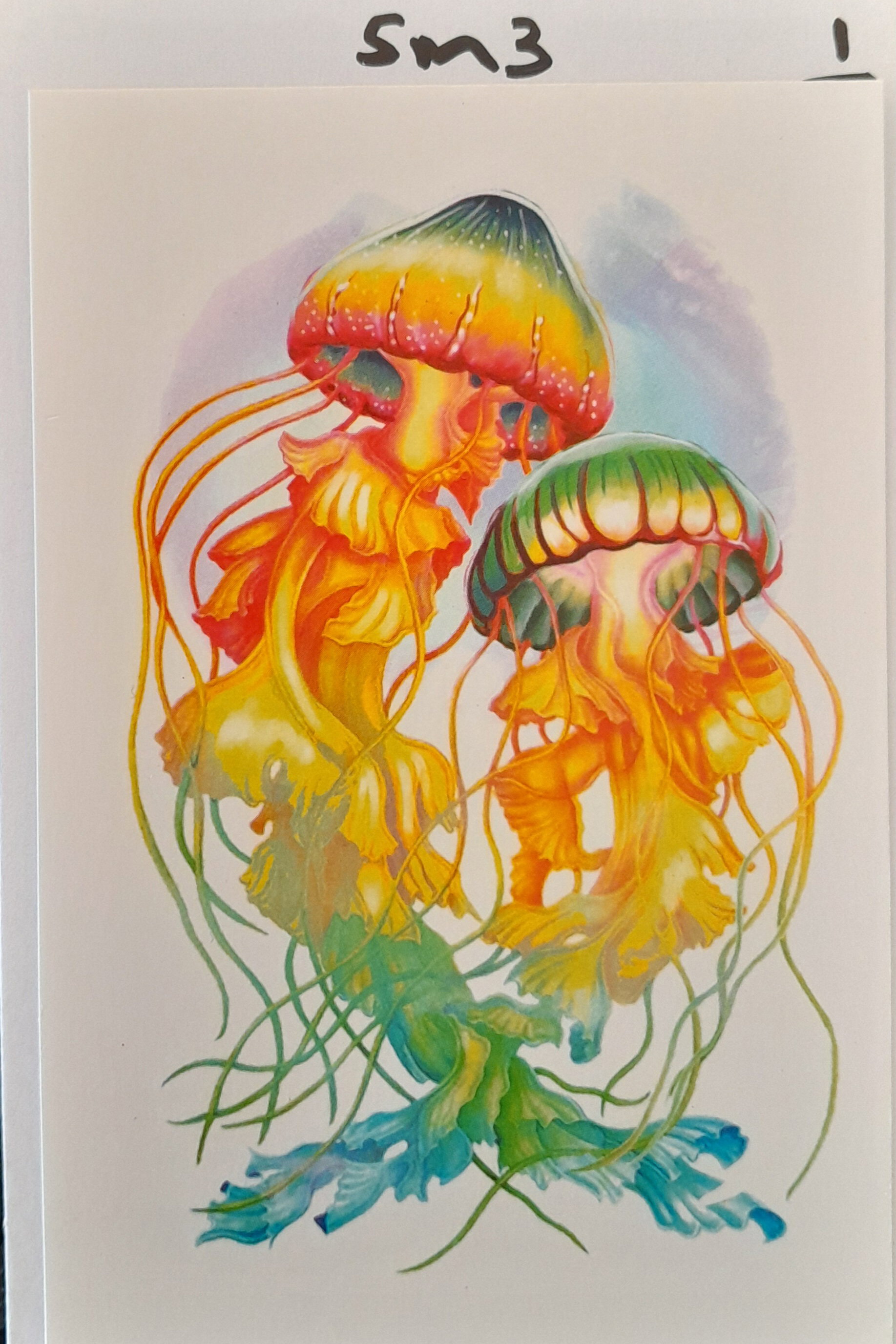 SM3 - 2 Jellyfish Yellow_0