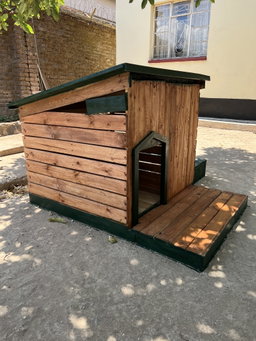 Large dog house