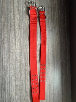 Heavy duty dog collar