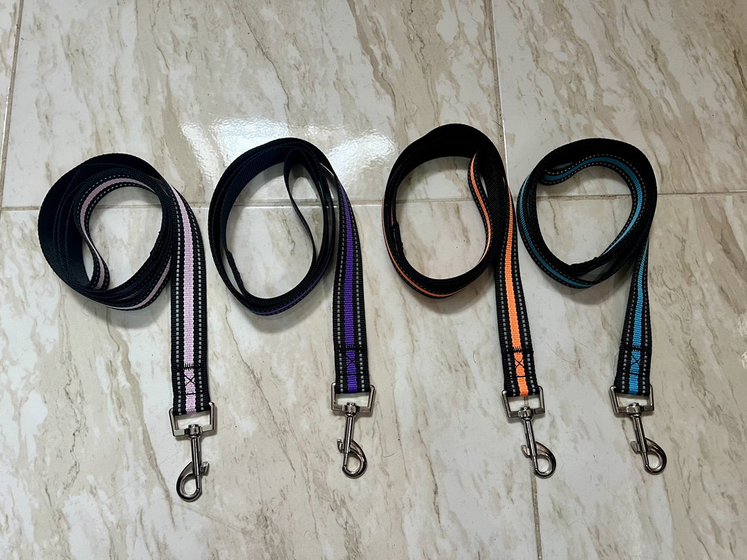 Dog leash
