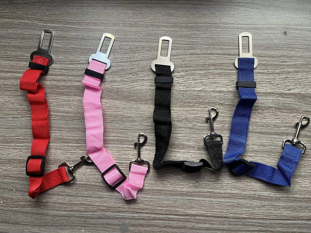 Dog seatbelt