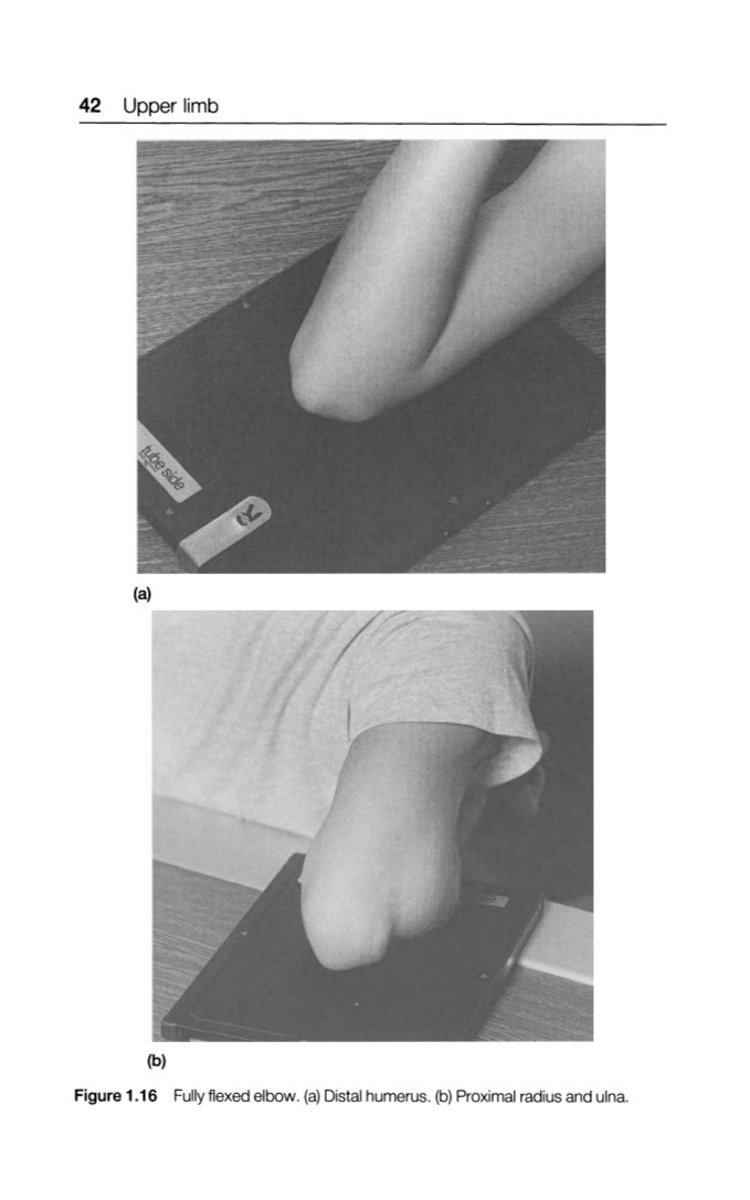 Radiographic Techniques and image evaluation _2