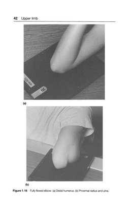 Radiographic Techniques and image evaluation 