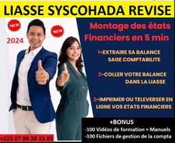 LOGICIEL DE MONTAGE DES ETATS FINANCIERS SYSCOHADA REVISE