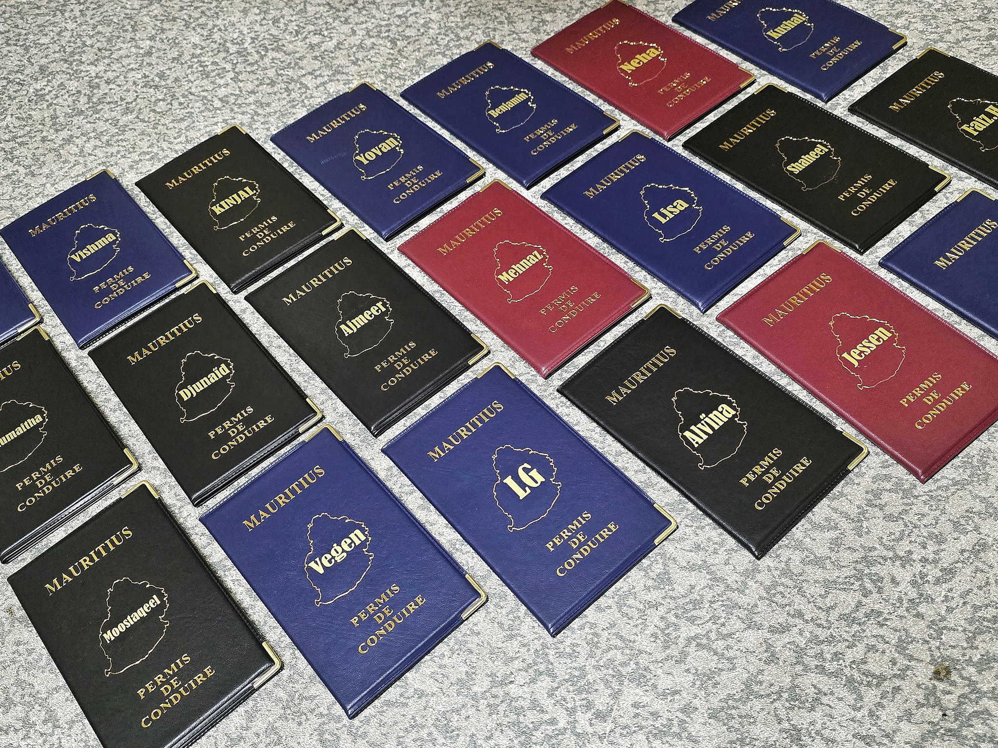 License Cover_0