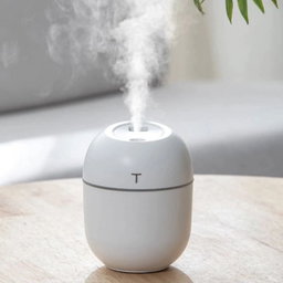 Diffuseur de senteur pour vos maisons,vos voitures etc…