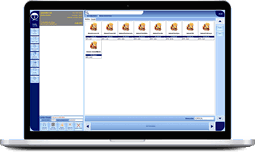 Licença Quianni Software de Gestão AGT2019