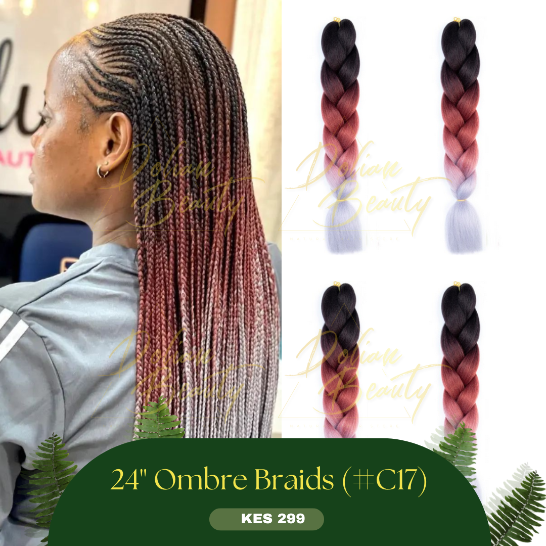 Ombre Braids_5