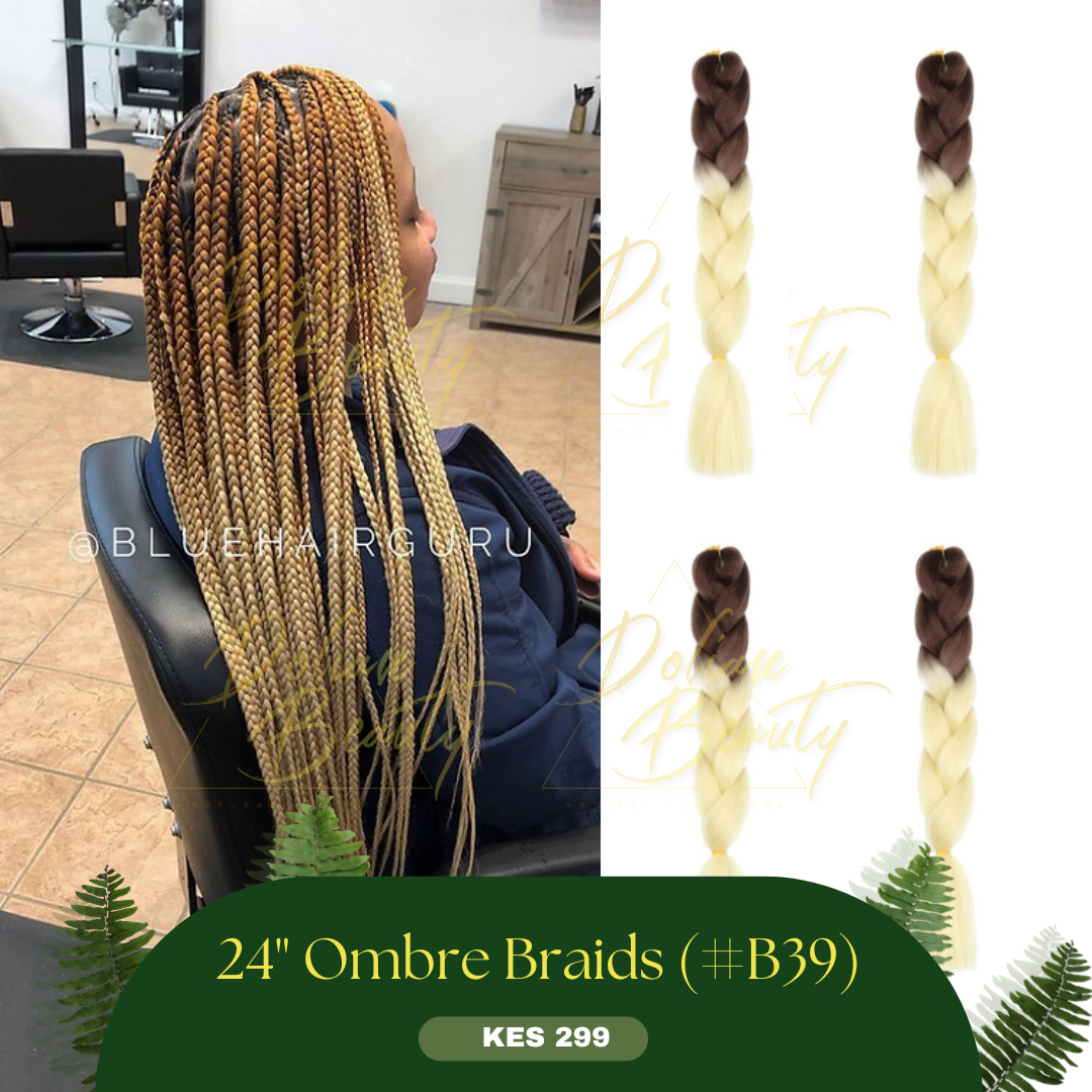 Ombre Braids_1