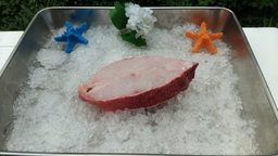  Coral Trout Meat 红斑鱼肉