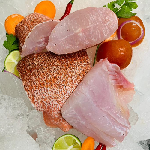  Coral Trout Meat 红斑鱼肉