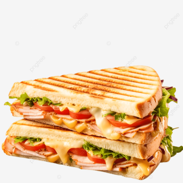 Grilled panini (Ham/chicken/turkey 