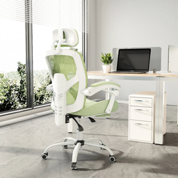 Home Office Furniture