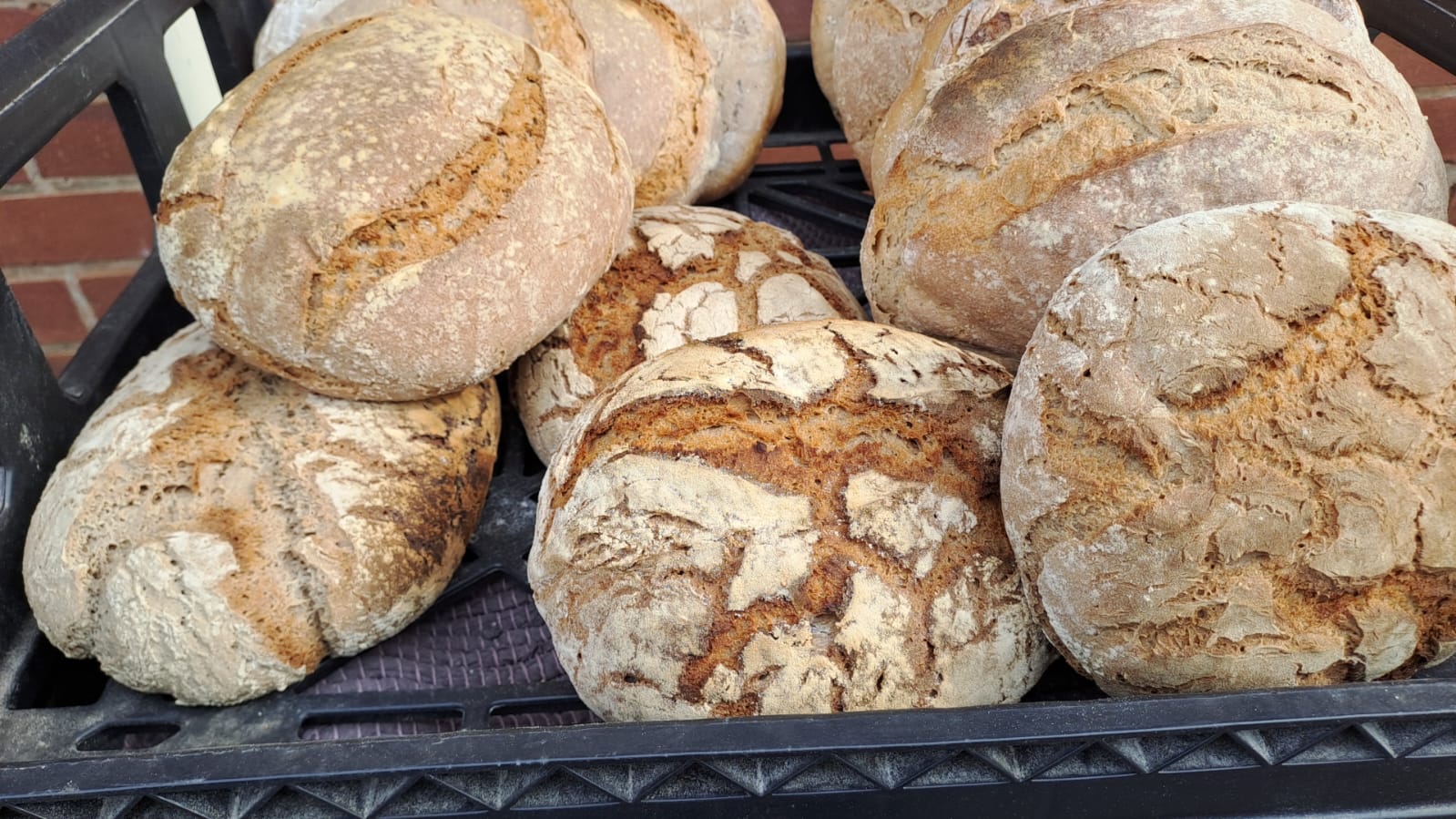 1kg 100% Rye Sourdough Loaf_1