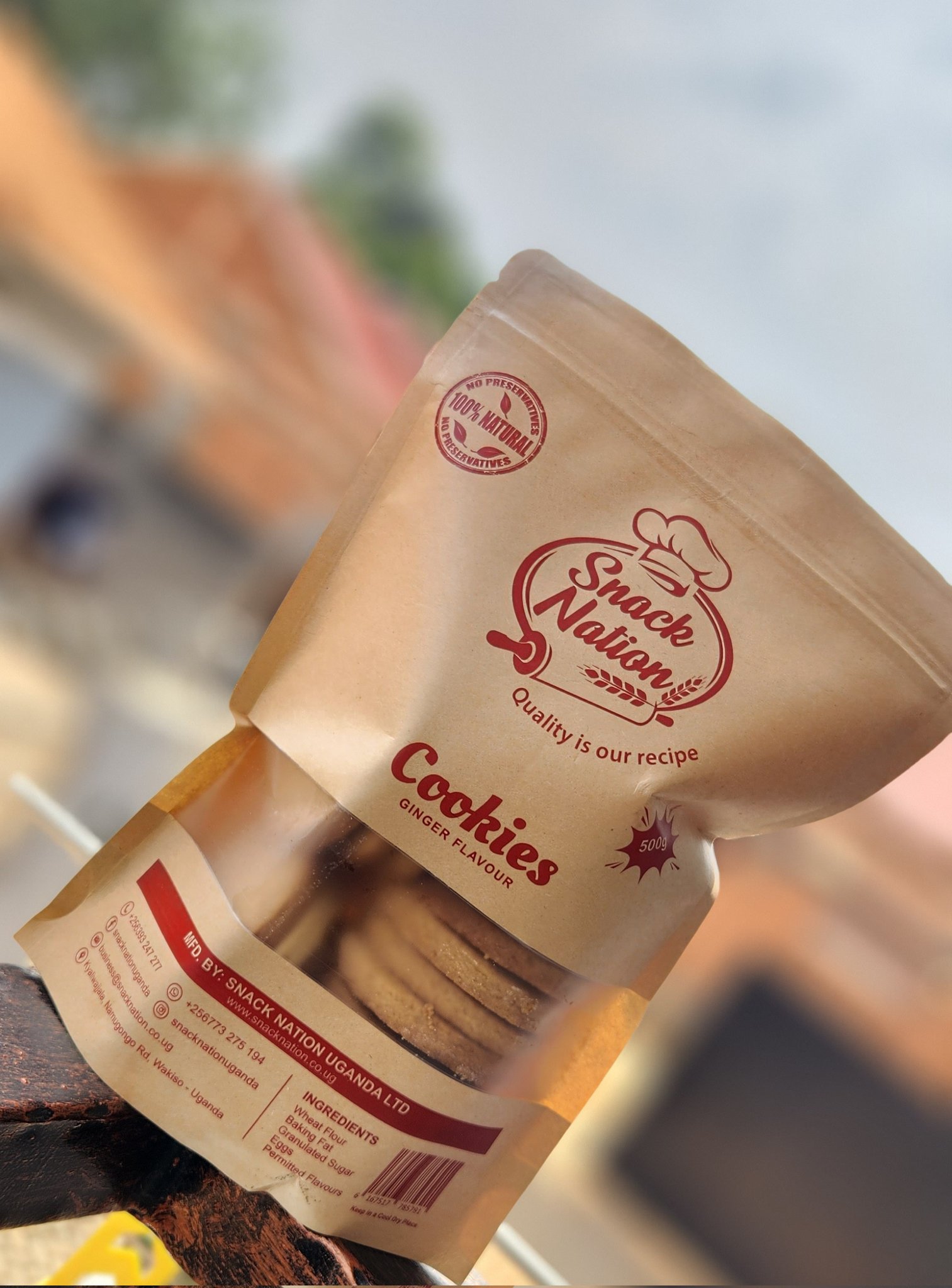 Ginger Flavour Cookies _1