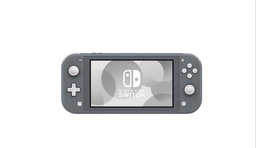Nintendo Switch Lite - Gris 1 an garantie