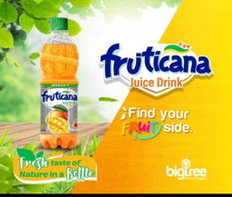 Fruticana mango x12