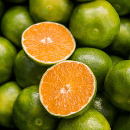 Fruits