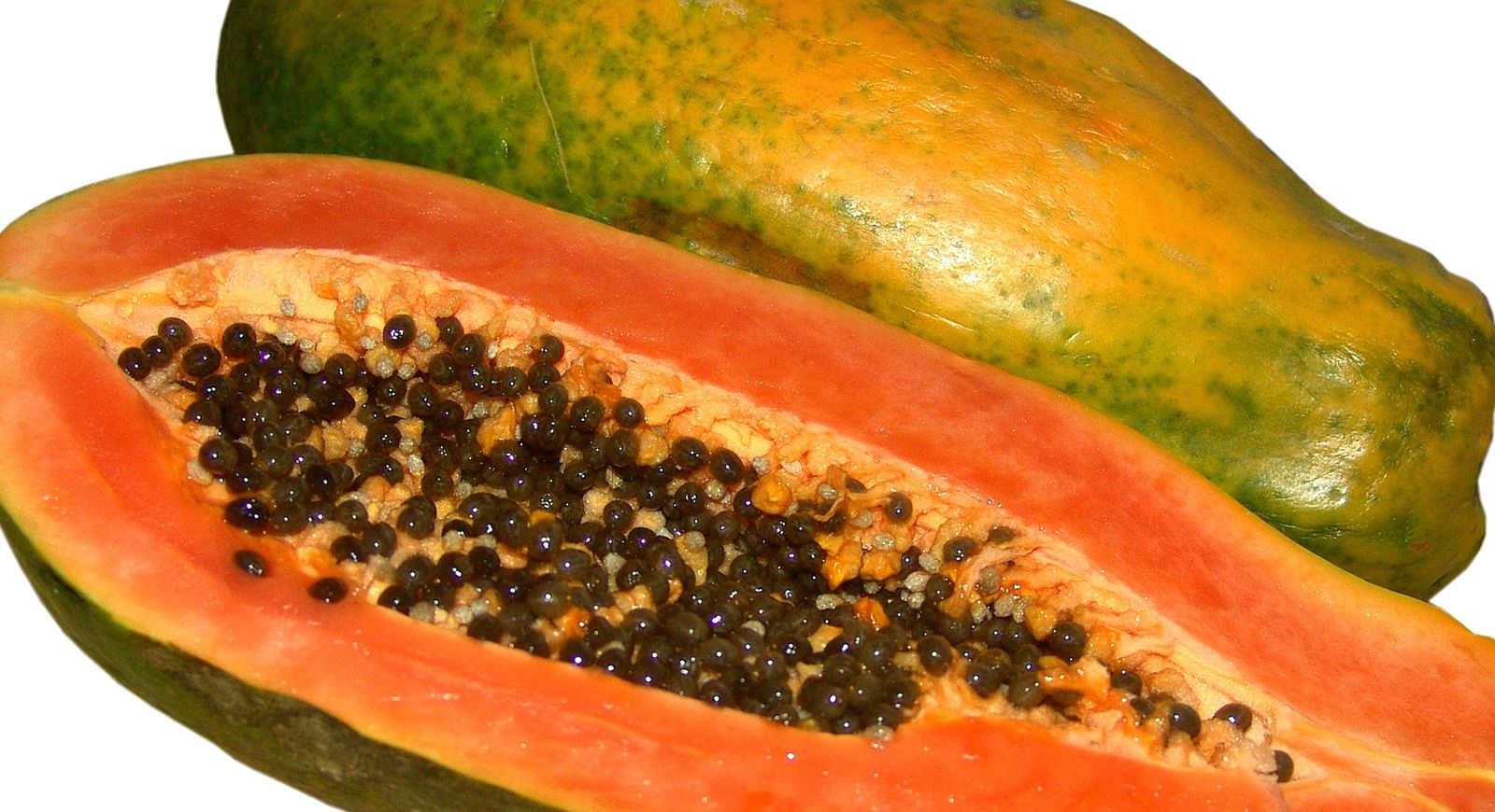 Papaya _0