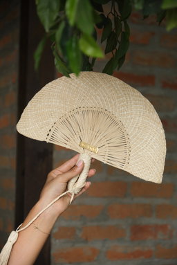 Abanico