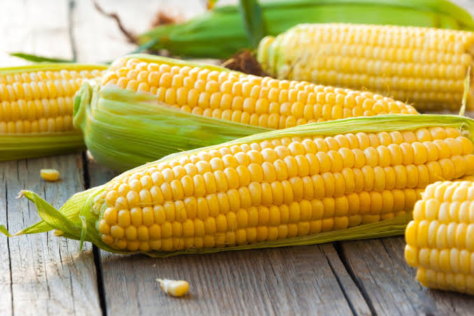 Sweet Corn 🌽 _0