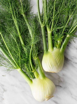 Herbs